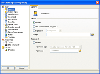 Screenshot of the application Gene6 FTP Server - #4
