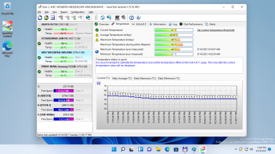 Screenshot of the application Hard Disk Sentinel Standard - #3
