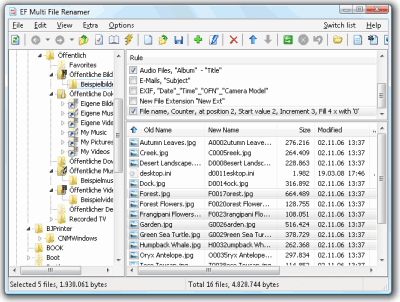 Screenshot of the application EF Multi File Renamer - #1