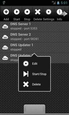 Screenshot of the application DNS Server - #1