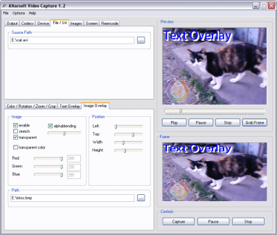 Screenshot of the application Altarsoft Video Capture - #5