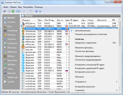 Screenshot of the application Essential NetTools - #1