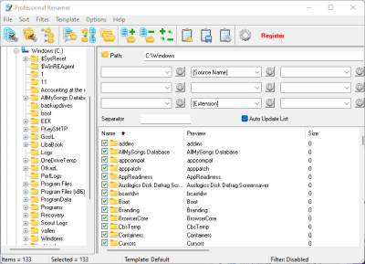 Screenshot of the application Professional Renamer - #1