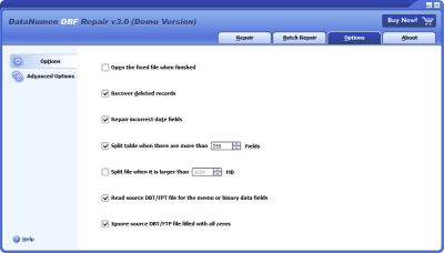 Screenshot of the application Advanced DBF Repair - #3