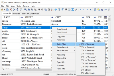 Screenshot of the application DBF Viewer 2000 - #1