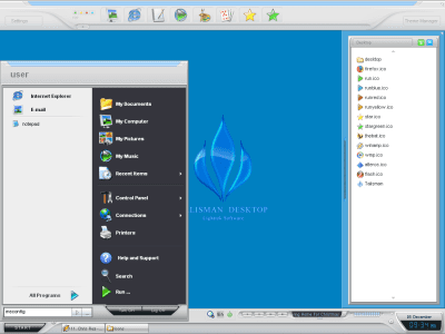 Screenshot of the application Talisman Desktop - #4