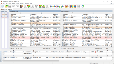 Screenshot of the application WinMerge - #6