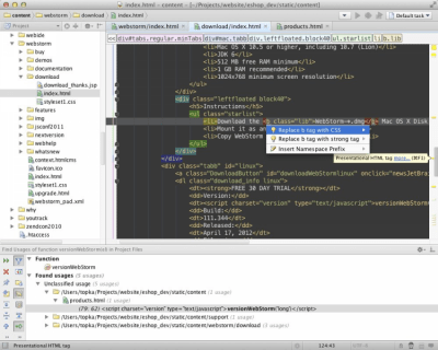 Screenshot of the application WebStorm - #1