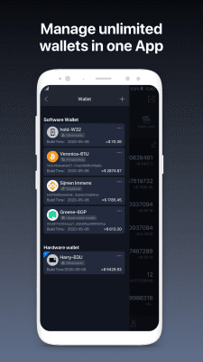 Screenshot of the application SafePal - #1