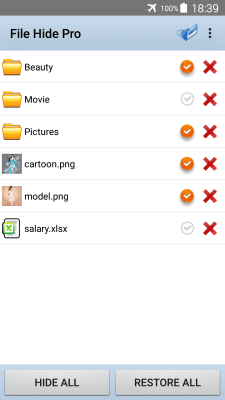 Screenshot of the application File Hide Pro - #5