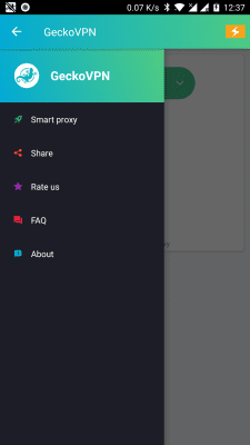 Screenshot of the application GeckoVPN Free Fast Unlimited Proxy VPN - #5