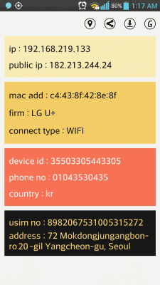 Screenshot of the application Simple IP Config Display - #2