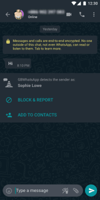 Screenshot of the application GBWhatsApp Pro - #3
