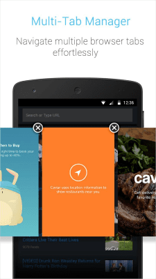 Screenshot of the application APUS Turbo Browser - #4