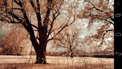 Screenshot of the application Full Screen Private Browsing - #5