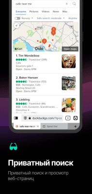 Screenshot of the application Vivaldi for Android - #4