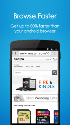 Screenshot of the application Navi Browser - #1