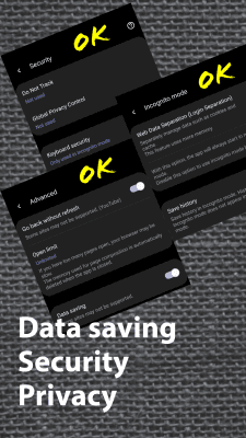 Screenshot of the application Soul Browser - #8