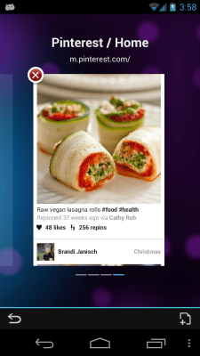 Screenshot of the application Boat Browser Mini - #6