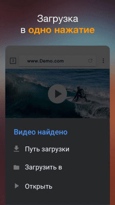 Screenshot of the application Video Downloader - #1