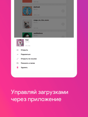 Screenshot of the application Insane - Download Instagram Photos and Videos - #5