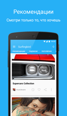 Screenshot of the application Surfingbird - #1