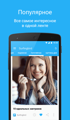 Screenshot of the application Surfingbird - #7
