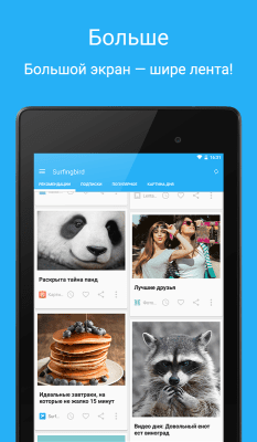 Screenshot of the application Surfingbird - #9