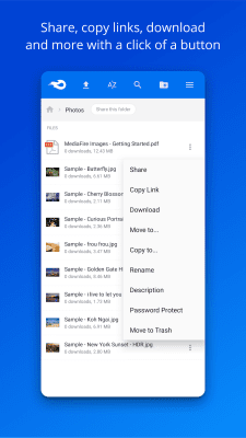Screenshot of the application MediaFire - #3
