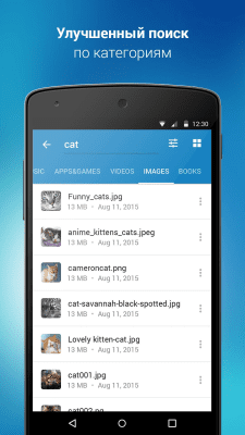Screenshot of the application 4shared - #3