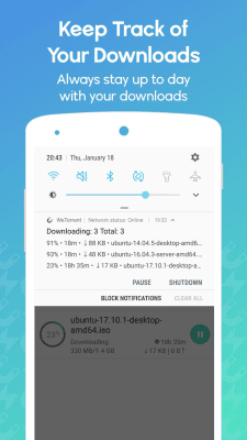 Screenshot of the application WeTorrent - #5
