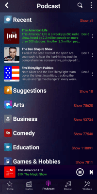 Screenshot of the application Audials Radio - #3