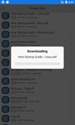 Screenshot of the application SpiderOak Groups - #5