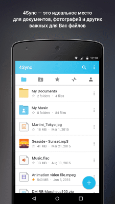 Screenshot of the application 4Sync - #1