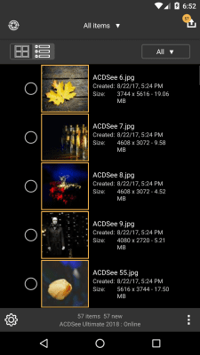 Screenshot of the application ACDSee Mobile Sync - #2