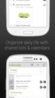 Screenshot of the application Avocado - #3