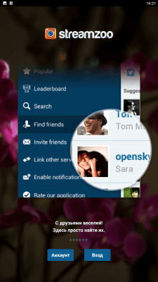 Screenshot of the application Streamzoo - #6