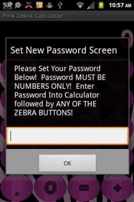 Screenshot of the application Secret Diary Pink Zebra WDP - #2