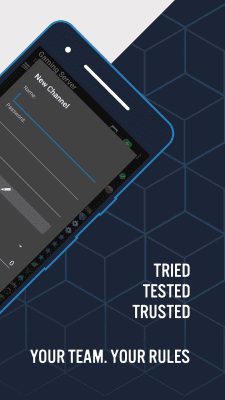 Screenshot of the application TeamSpeak 3 - Voice Chat Software - #6