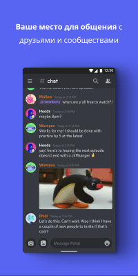 Screenshot of the application Discord - a chat room for gamers - #1