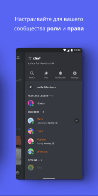 Screenshot of the application Discord - a chat room for gamers - #5