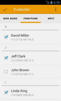 Screenshot of the application AtomPark SMS - #3