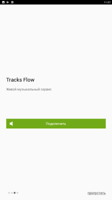 Screenshot of the application Boomfox Player - #4