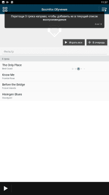 Screenshot of the application Boomfox Player - #9