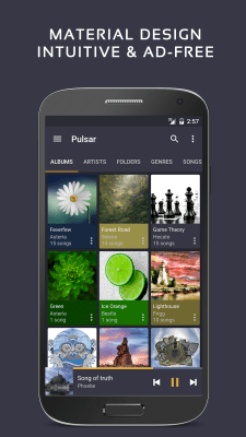 Screenshot of the application Pulsar Music Player - #1