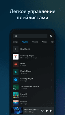 Screenshot of the application Lark Player - #3