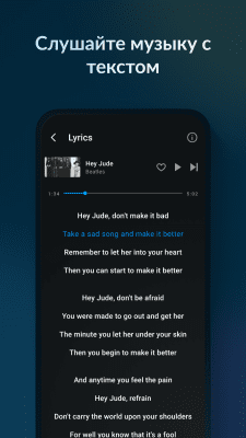 Screenshot of the application Lark Player - #4