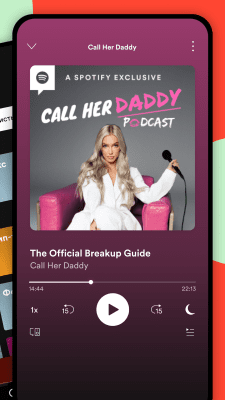 Screenshot of the application Spotify - #3