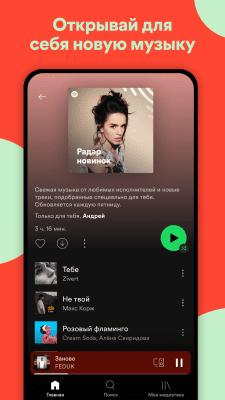 Screenshot of the application Spotify - #6