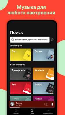 Screenshot of the application Spotify - #7